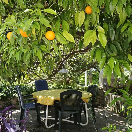 Twin 10422b تربانج